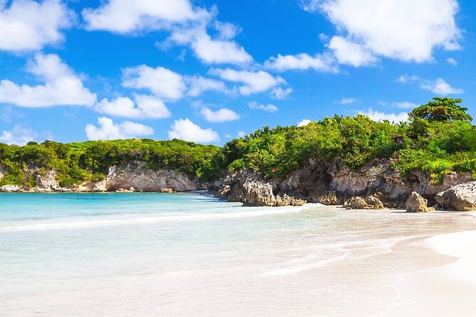 Extreme Boogie Tour in Punta Cana, Macao Beach and Cenote - The Typical House Stop: Coffee, Cocoa, Mamajuana, Spices