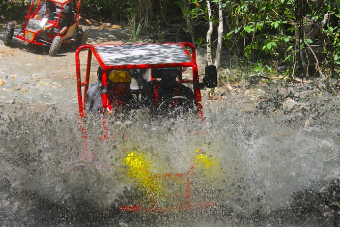 Extreme Buggy Adventure in the Puerto Plata Fields - Guide Quality and Service: Why LeomarTours Feels Reliable