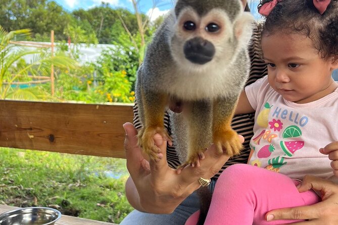 Family ATV Tour & Monkey Private Van - What to Bring (and What You Don’t Want to Forget)