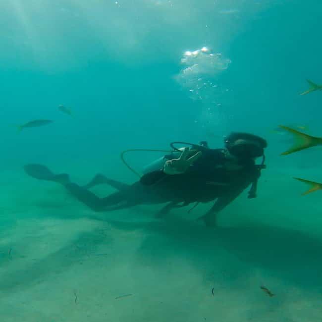 First Time Scuba Diving Experience in Punta Cana - Coral reefs and marine life: what you’ll see once training clicks