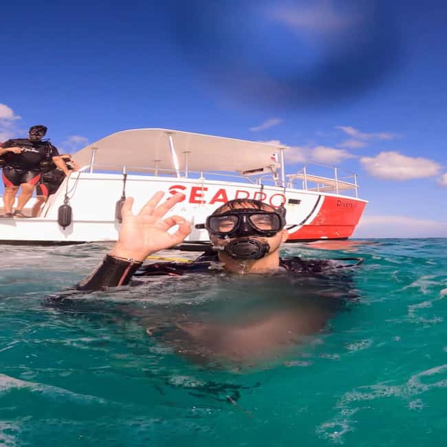 First Time Scuba Diving Experience in Punta Cana - Price and value: what $189 covers and why it feels fair