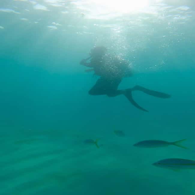 First Time Scuba Diving Experience in Punta Cana - Practical tips for your first time underwater in Punta Cana