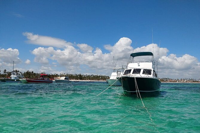 FISHING PRO CHARTERS - Boat Excursion - Divina - Out on the water: what trolling means for your day