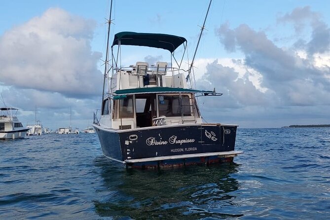 FISHING PRO CHARTERS - Boat Excursion - Divina - The fish list: what you might catch in Caribbean waters