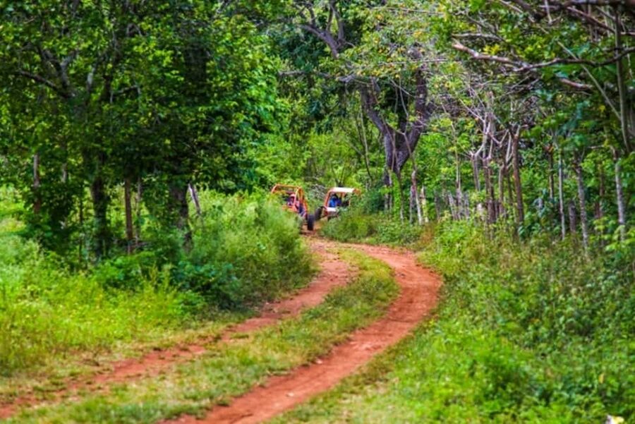 Flintstones Buggy, Cave and Adventure in Bavaro - Price and value: what $60 buys you (and what it doesn’t)