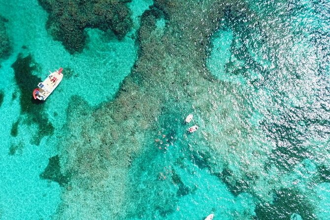 Float & Feast Private Party Cruise with Premium Buffet & Open Bar - Who should book this cruise, and who should plan around it