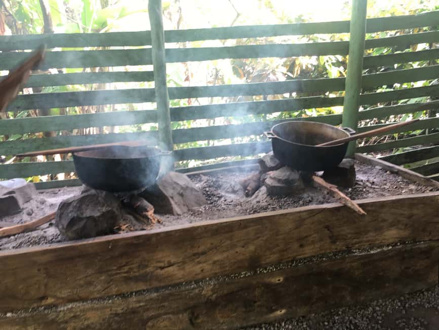 From Bayahibe: Half Day Monkeyland Safari - Monkeyland’s Squirrel Monkeys: The 45-Minute Guided Interaction