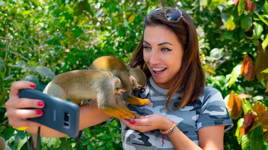 From Bayahibe: Half Day Monkeyland Safari - Mountain Views and a 5-Acre Monkey Home
