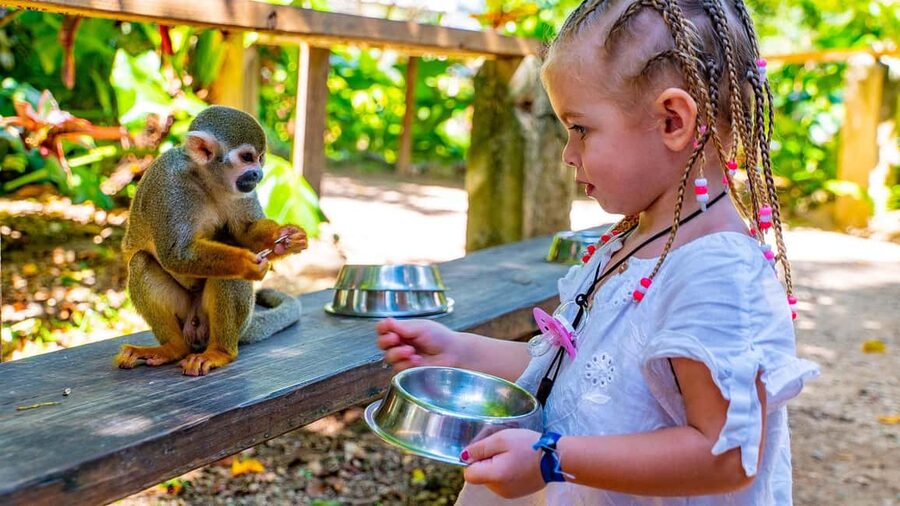 From Bayahibe: Half Day Monkeyland Safari - The Typical Dominican House Stop: Coffee and Cocoa, Plus Local Life