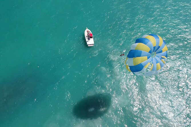 From Punta Cana: Amazing Activity Parasailing Hotel pickup - What You See From Above: Coconut Trees, Forest, and Ocean