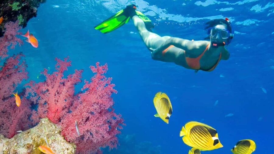 From Punta Cana: Catalina Island Swim, Sail & Snorkel - Key things to know before you go