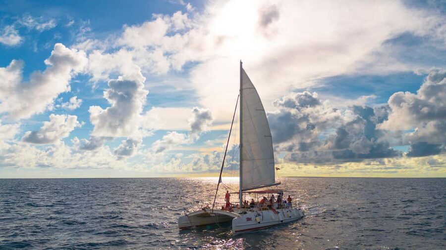 From Punta Cana: Catalina Island Swim, Sail & Snorkel - Snorkeling the Caribbean Reef Wall: the highlight you’ll remember
