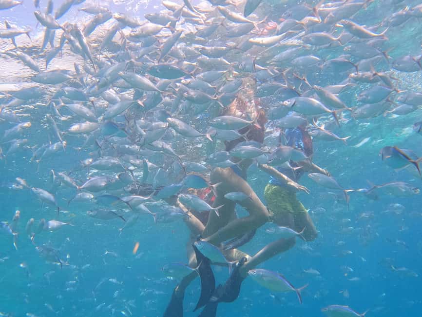 From Punta Cana: Catalina Island Swim, Sail & Snorkel - Catalina Island beach time: chairs, lunch, and the real sun