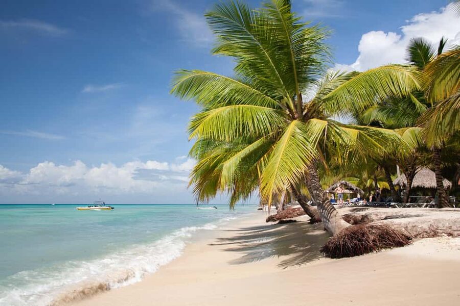 From Punta Cana: Catamaran Tour to Saona Island with Open Bar and Buffet - Key highlights worth planning for
