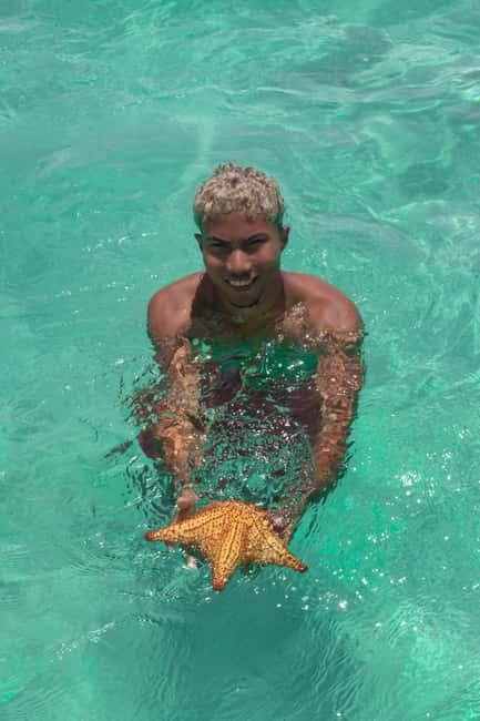 From Punta Cana: Catamaran Tour to Saona Island with Open Bar and Buffet - Should you book this Saona catamaran tour?
