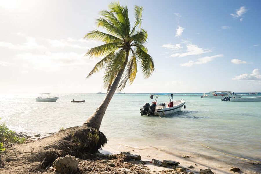 From Punta Cana: Catamaran Tour to Saona Island with Open Bar and Buffet - The Natural Pool sandbar stop: warm shallows and starfish etiquette