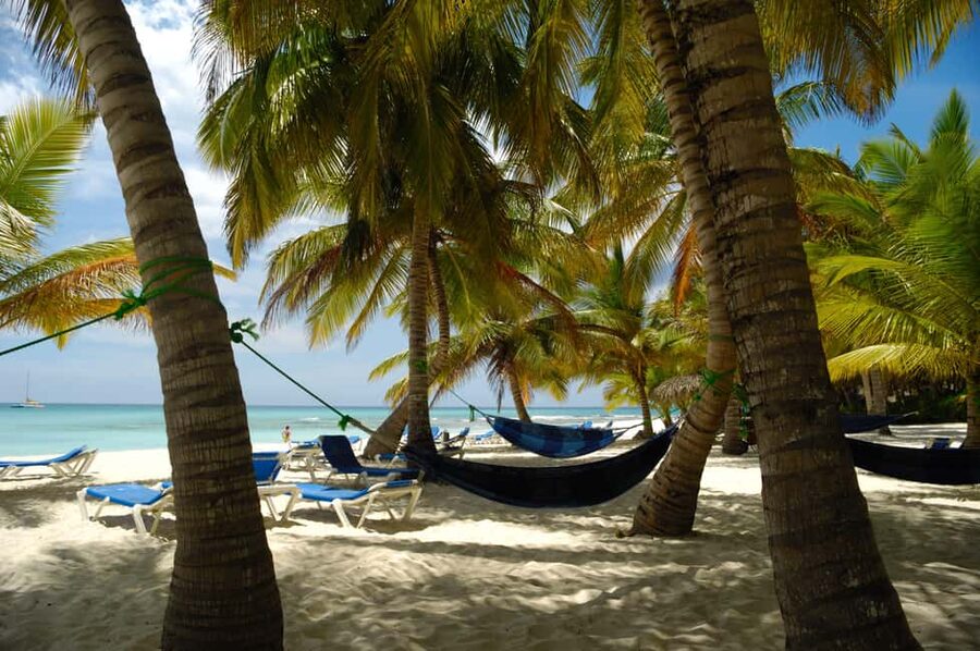From Punta Cana: Catamaran Tour to Saona Island with Open Bar and Buffet - Price and logistics: is $81 good value for a 9-hour island day?