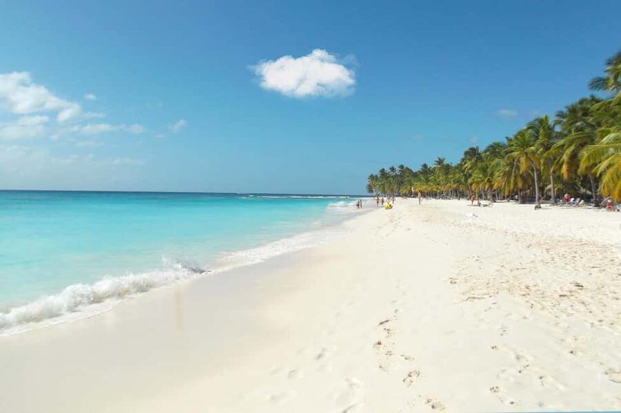 From Punta Cana: Catamaran Tour to Saona Island with Open Bar and Buffet - Who should book this Saona catamaran day trip