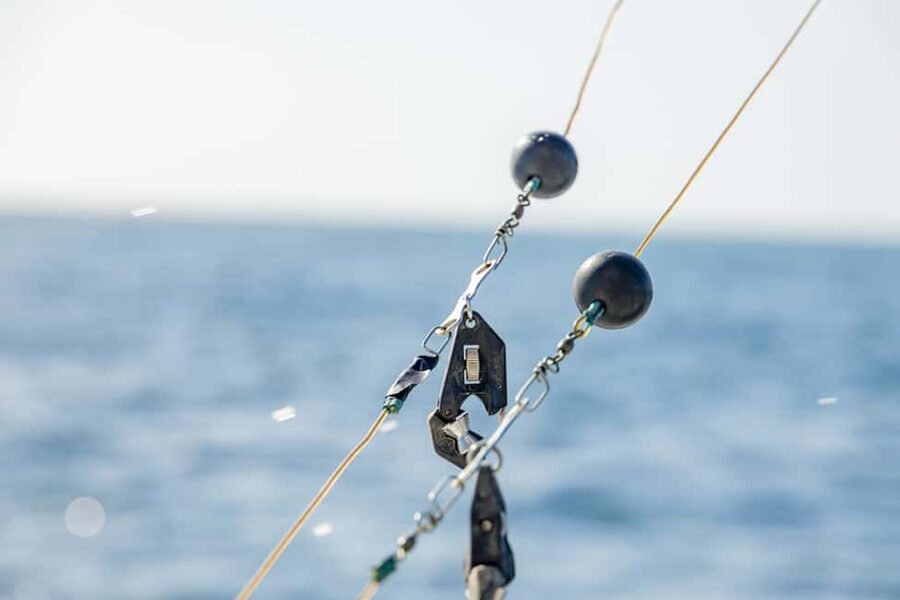 From Punta Cana: Deep Sea Fishing Tour by Boat with Drinks - Key Highlights That Make This Charter Worth a Look