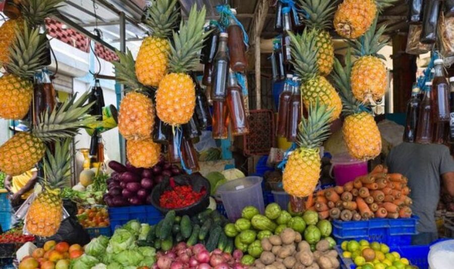 From Punta Cana: History and Culture Tour with River Swim - Price and Value: What $31 Really Buys You