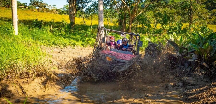 From Punta Cana: Jungle Buggy Adventure to Anamuya River - Jungle trail time: what 4x4 riding feels like