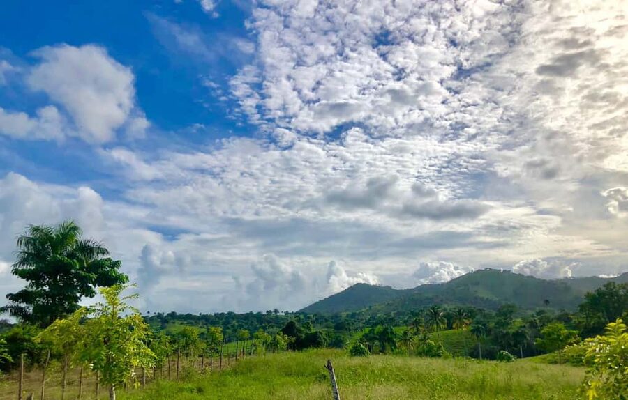 From Punta Cana: Jungle Buggy Adventure to Anamuya River - Price and value: is $89 per person a good deal?