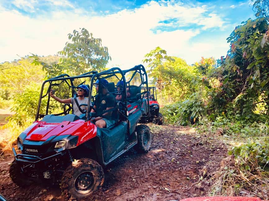 From Punta Cana: Jungle Buggy Adventure to Anamuya River - Your Honda Pioneer 700 buggy training: what you should expect