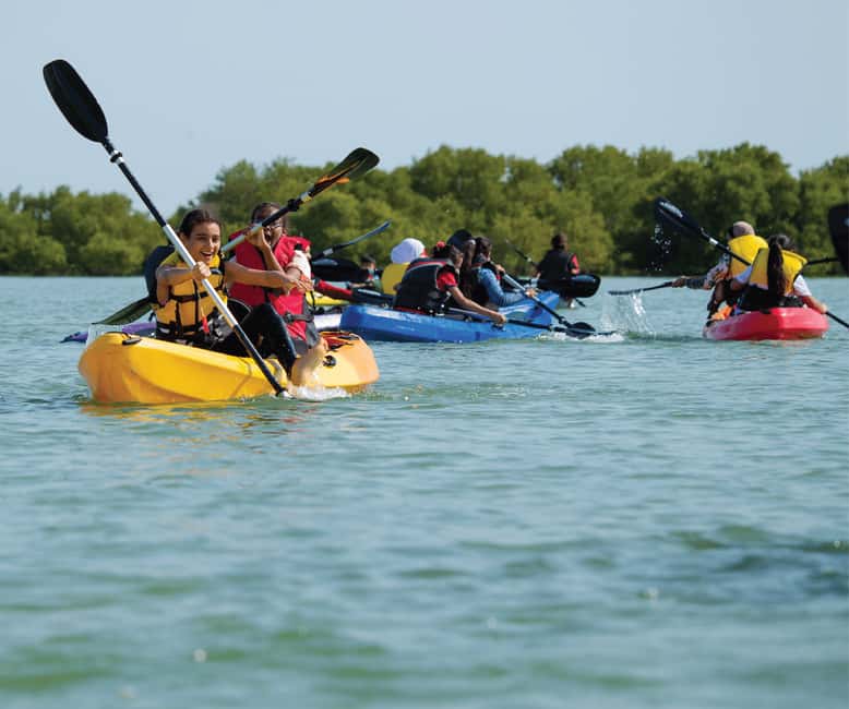 From Punta Cana: Los Haitises & Caño Hondo Private Boat Tour - Key highlights worth planning around
