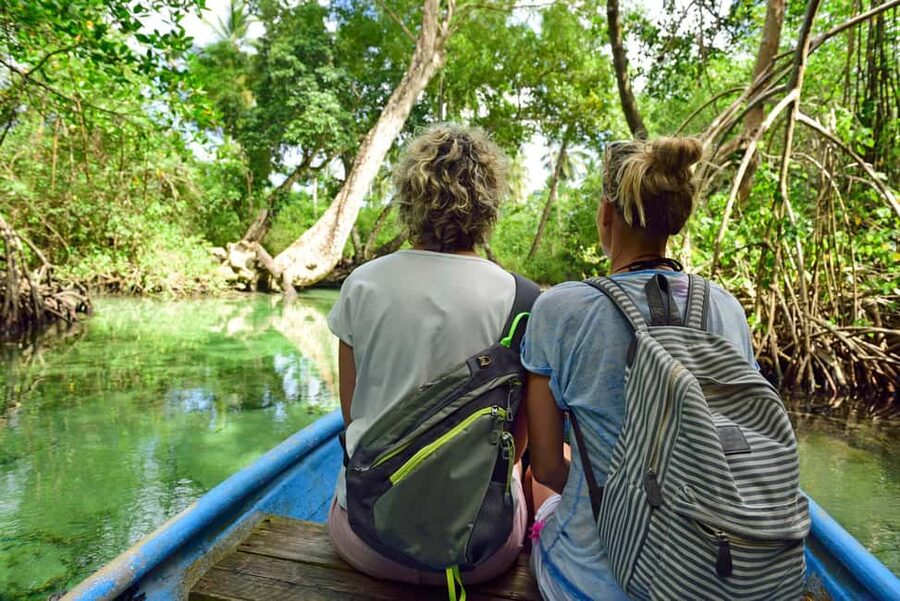 From Punta Cana: Los Haitises & Caño Hondo Private Boat Tour - Red mangroves to San Lorenzo Bay: Mogotes, birds, and wildlife chances