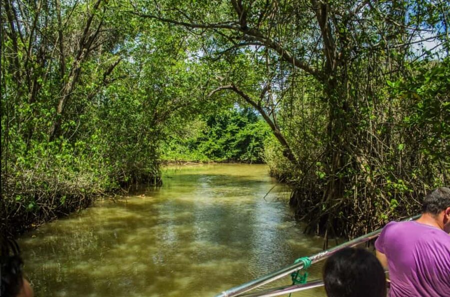 From Punta Cana: Los Haitises Guided Day Tour - Price and value: what you’re paying for at about $125