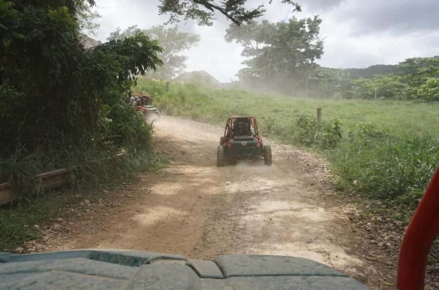 From Punta Cana or La Romana: Sugarcane Fields Buggy or Quad - Sugarcane Fields by Buggy or Quad: What You’re Really Signing Up For