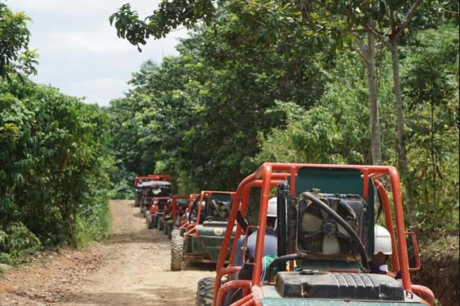 From Punta Cana or La Romana: Sugarcane Fields Buggy or Quad - Getting There From Punta Cana or La Romana Without the Headache