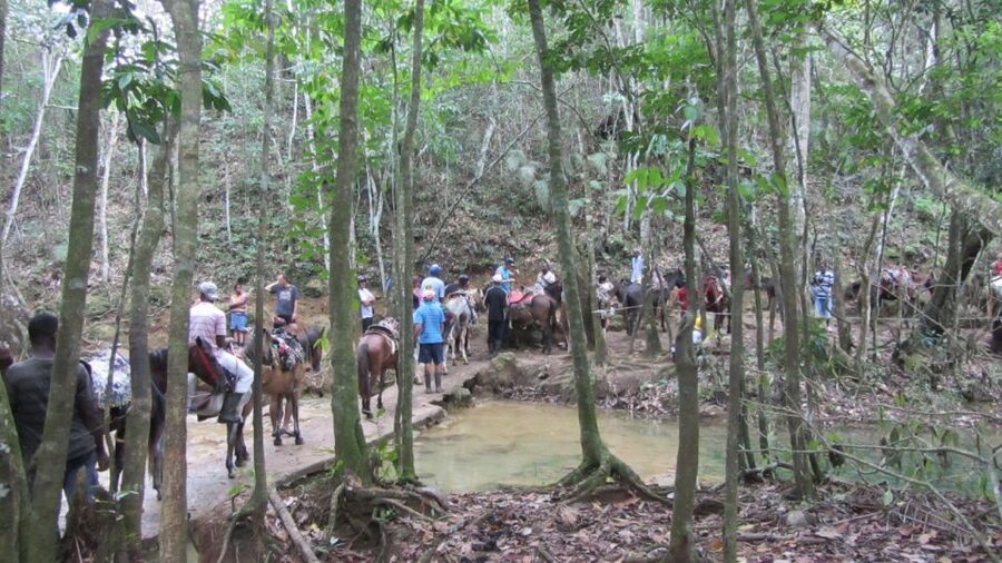 From Punta Cana: Samaná, Cayo Levantado & El Limón Waterfall - Timing and Order Swaps: Why Your Day Might Feel Different