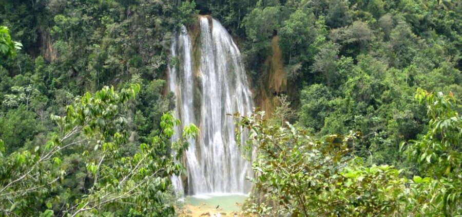 From Punta Cana: Samaná, Cayo Levantado & El Limón Waterfall - Price and Value: Is $180 a Good Deal?