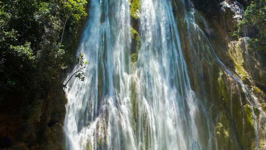From Punta Cana: Sanctuary Whale Watching Day Trip - El Limon Waterfalls on Horseback: Fun Activity, Real Motion