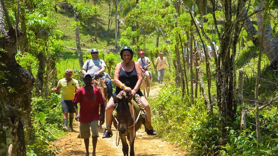 From Punta Cana: Sanctuary Whale Watching Day Trip - Should You Book This Sanctuary Whale Watching Day Trip?