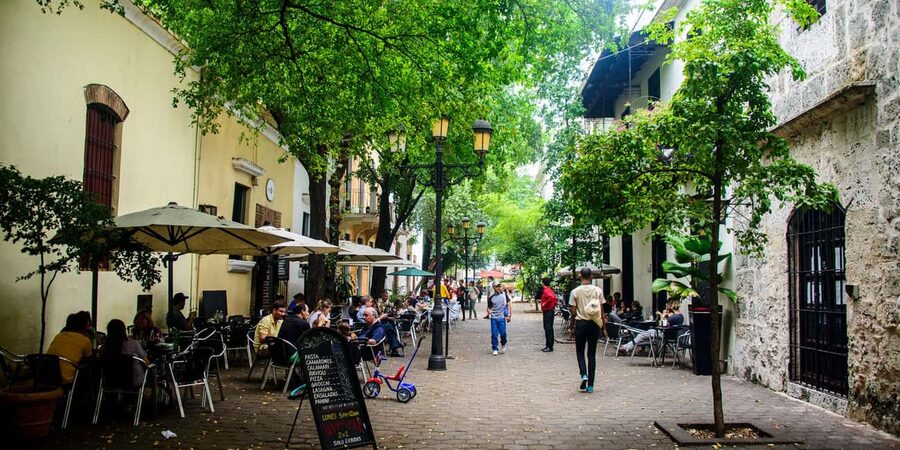 From Punta Cana: Santo Domingo Full-Day Tour with Lunch - Key highlights worth waking up for