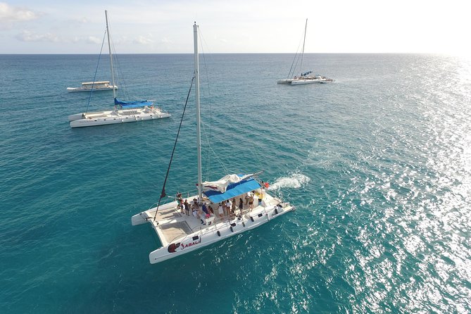 From Punta Cana: Saona Island & Altos de Chavon Day Trip with Lunch and Open Bar - Value at $99: what you’re paying for (and what can disappoint)