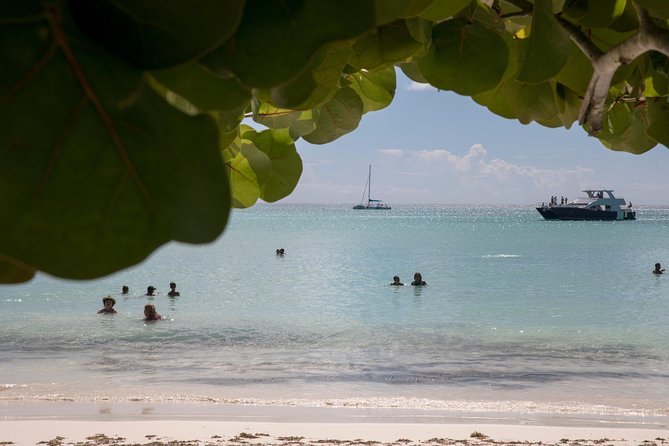 From Punta Cana: Saona Island & Altos de Chavon Day Trip with Lunch and Open Bar - Who should book this Saona and Altos day trip?