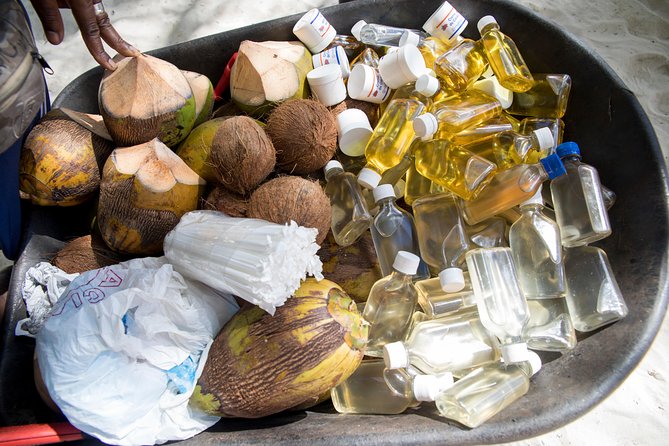 From Punta Cana: Saona Island & Altos de Chavon Day Trip with Lunch and Open Bar - Should you book this tour?
