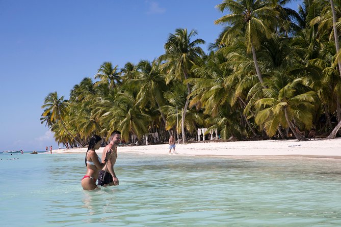 From Punta Cana: Saona Island & Altos de Chavon Day Trip with Lunch and Open Bar - Saona Island by catamaran: white sand, palms, and the island tempo