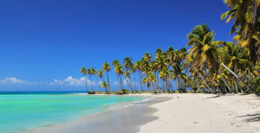 From Punta Cana: Saona Island Boat Trip with Buffet - Saona Island from Punta Cana: the day in plain terms