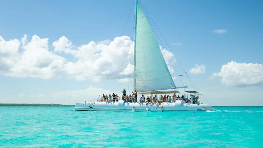 From Punta Cana: Saona Island Day Trip with Buffet Lunch - Beach buffet lunch and mojito-style drinks in the sun
