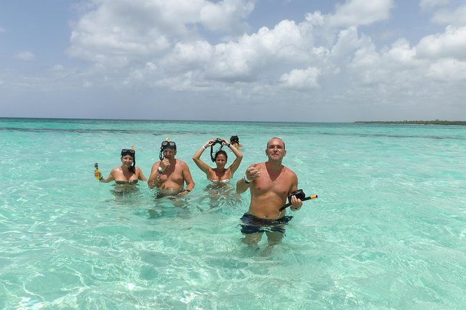 From Punta Cana: Saona Island Full Day For Small Group Catamaran - Key things I’d anchor on before you go