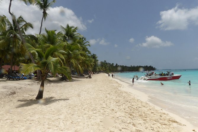 From Punta Cana: Saona Island Full Day For Small Group Catamaran - Speedboat + Natural Pool Stop: How to Get the Best Starfish Moment