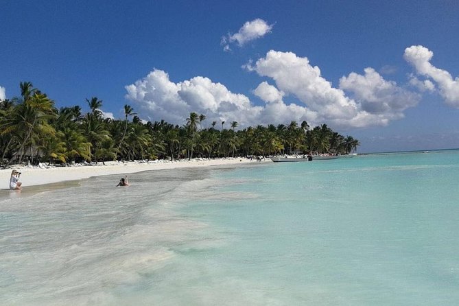 From Punta Cana: Saona Island Full Day For Small Group Catamaran - Saona Beach Time: Swim, Sunbathe, and Pace Yourself