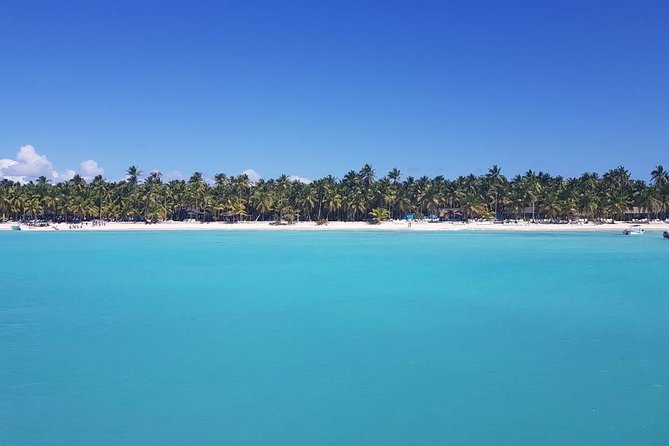 From Punta Cana: Saona Island Full Day For Small Group Catamaran - Lunch, Open Bar, and the On-Boat Party Vibe