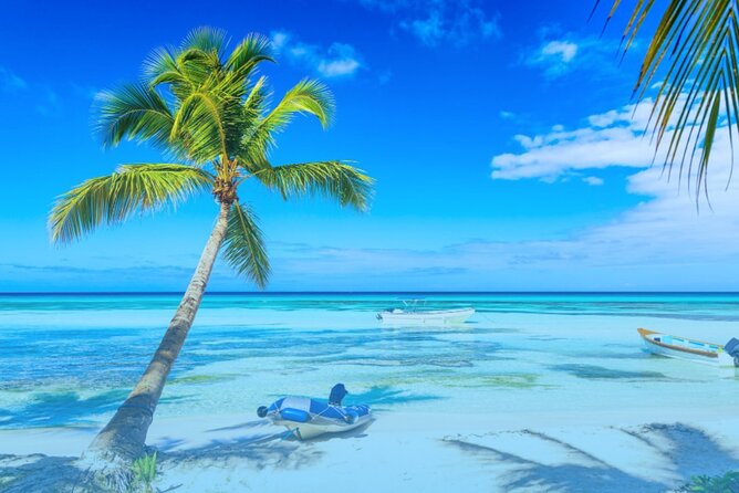 From Punta Cana: Saona Island Full Day For Small Group Catamaran - Weather and Minimum Numbers: The Two Things That Can Change Your Day