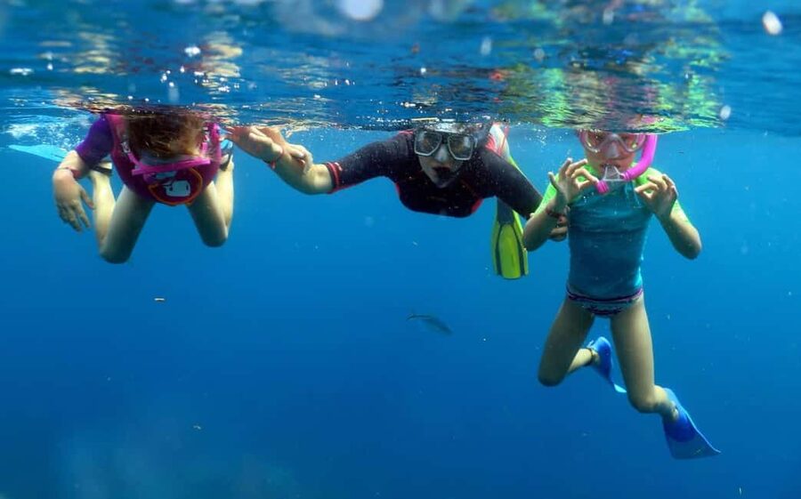 From Punta Cana: Small Group Catalina Island Snorkeling Tour - Key highlights worth getting excited about