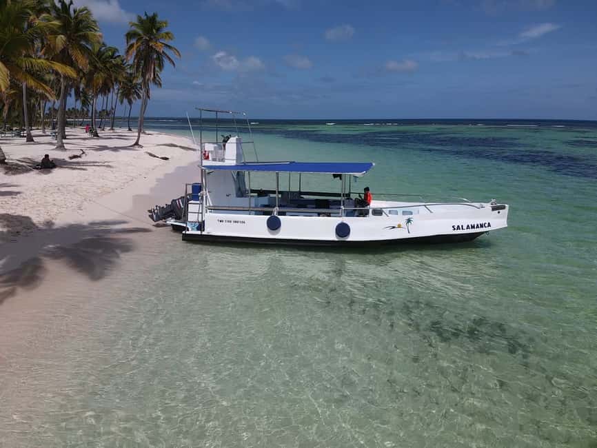 From Punta Cana: Small Group Catalina Island Snorkeling Tour - My practical verdict: should you book?